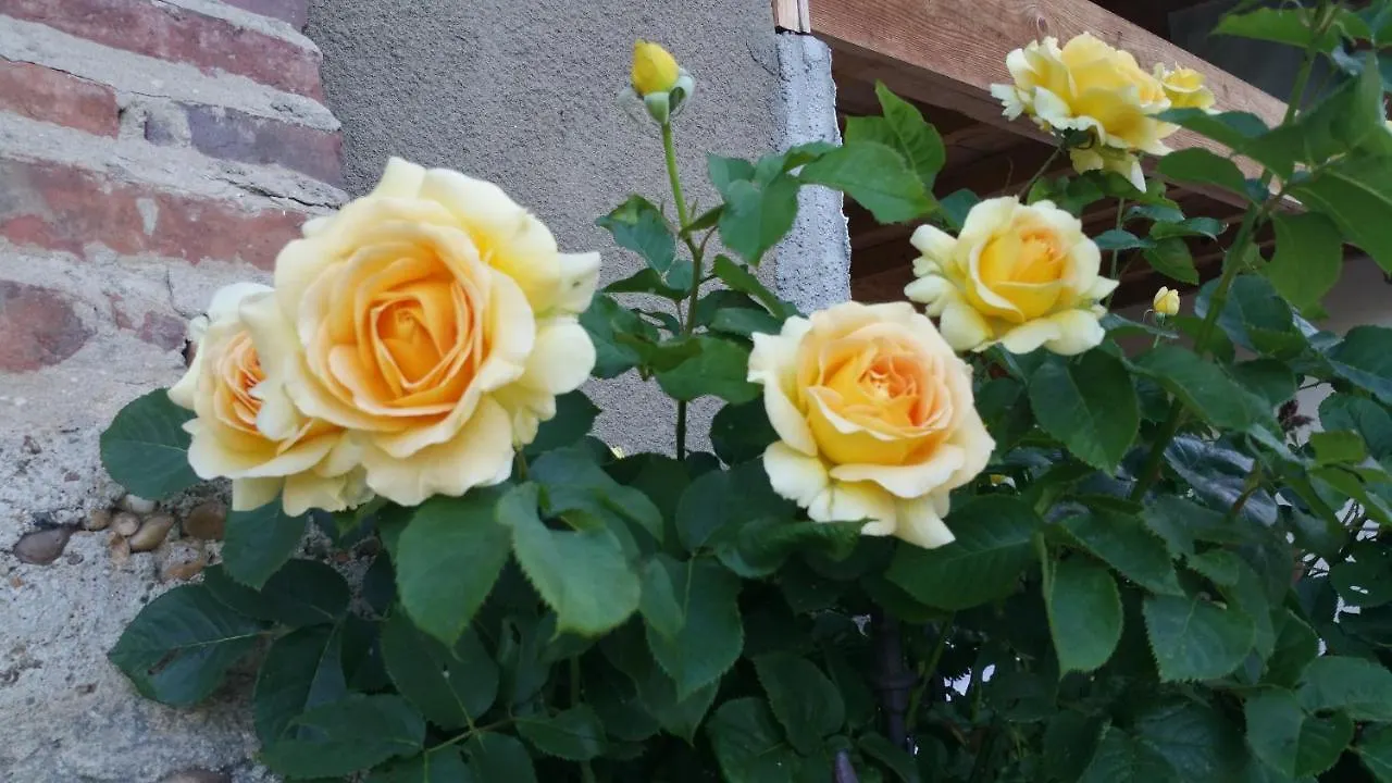 Guest house La Providence Hotel Illiat France